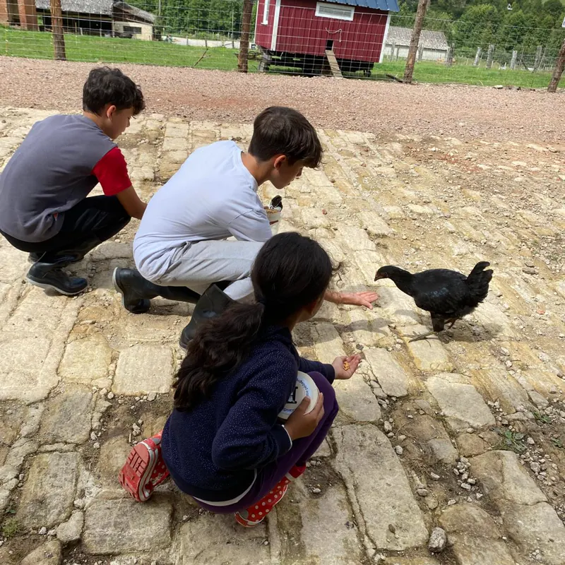 Trois enfants accroupis observent une poule dans la cour de la ferme